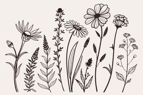 Birth Month Flowers Line Art SVG Graphics