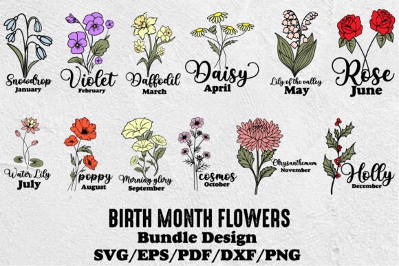 Birth Month Flowers SVG PNG Bundle Review