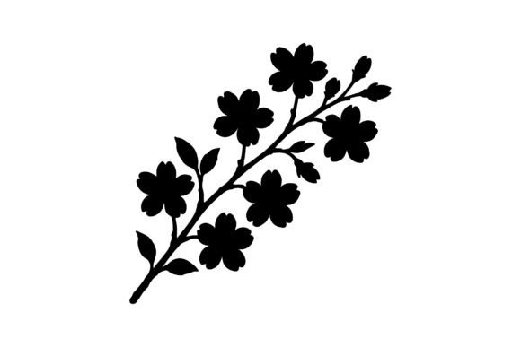 Cherry Blossom Flowers Branch Vector Graphics