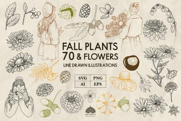 Fall Flowers and Forest Line Art Graphics for Local Branding