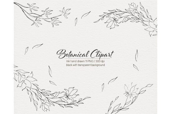 Modern Flowers Botanical Hand Drawn Graphics