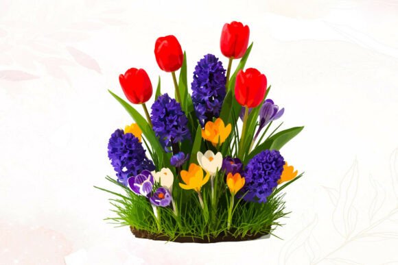 Spring Flowers in Grass Tulips, Crocus Graphics