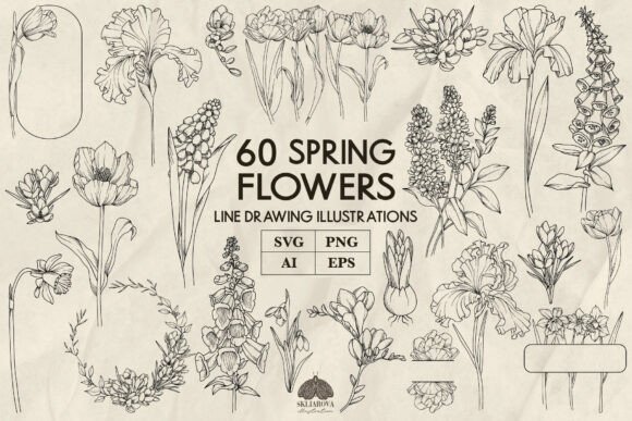Spring Flowers Line Art Graphics for Seasonal Design