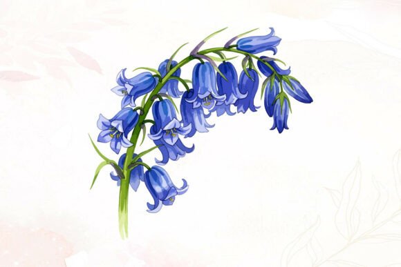 Watercolor Bluebell Flowers White Graphics