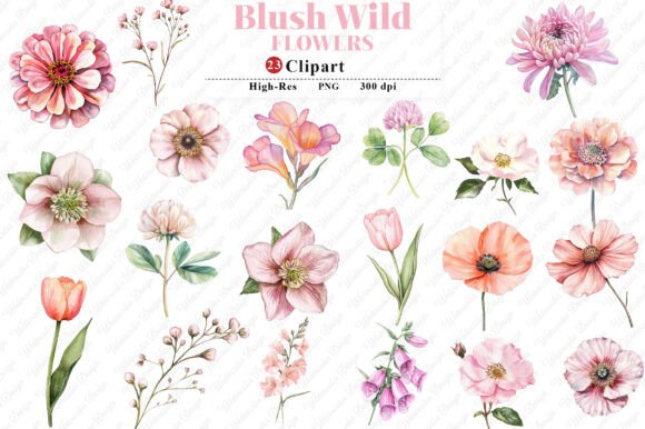 Watercolor Blush Wild Flowers Graphics
