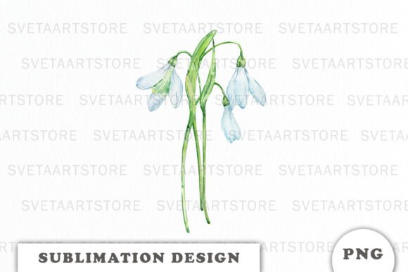 Watercolor Snowdrop Flowers Bouquet Graphics